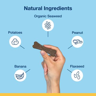 Show full view: ProDen Plaque Off System Mini Dental Care Bones Peanut Butter & Banana Flavor Dental Chews for X-Small & Small Dogs, 12-oz bag slide 3 of 10