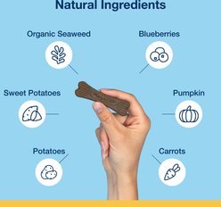ProDen PlaqueOff System Vegetable Fusion & Blueberry Flavored Mini Dental Dog Treats, 20 count slide 2 of 8