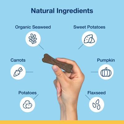 Show full view: ProDen PlaqueOff System Vegetable Fusion Flavored Mini Dental Bone Dog Treats, 20 count slide 3 of 9