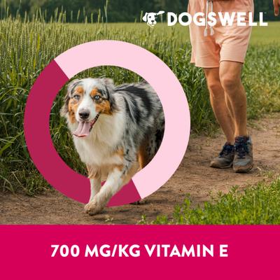 Show full view: Dogswell Immune System Jerky Duck Recipe Grain-Free Dog Treats, 20-oz bag slide 6 of 11