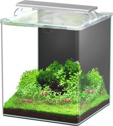 Aquatlantis LED Kubus Curve Aquarium, 30-L