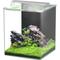 Show in main carousel: Aquatlantis LED Kubus Curve Aquarium, 65-L slide 1 of 1