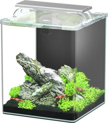 Aquatlantis LED Kubus Curve Aquarium, 20-L