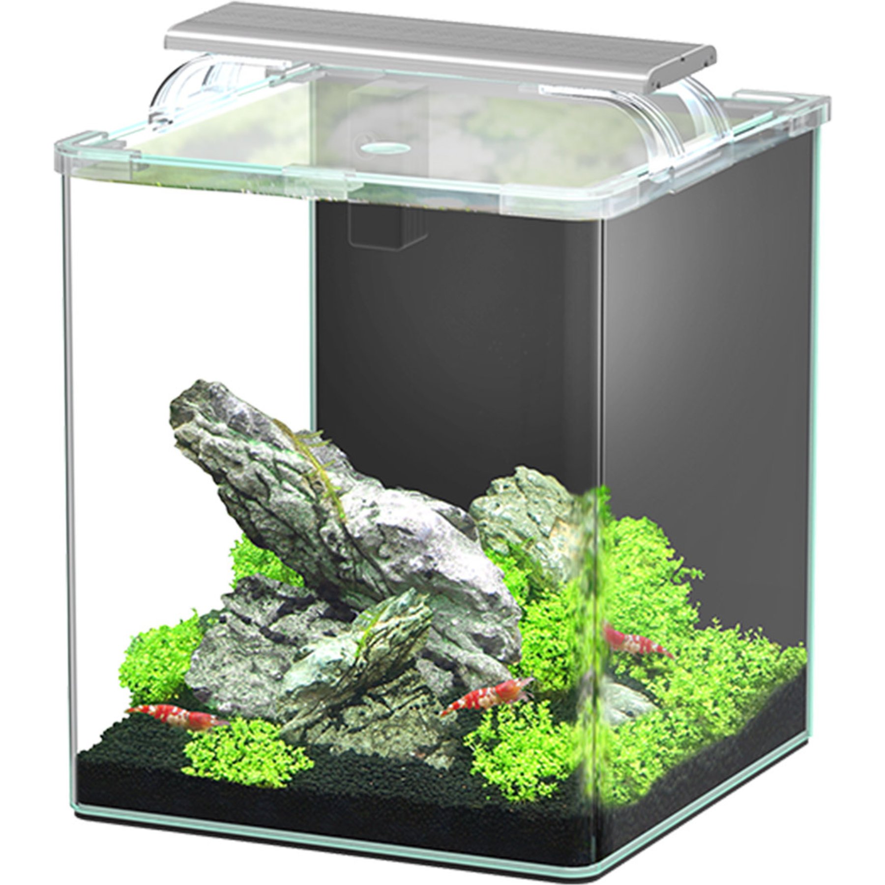 Aquatlantis LED Kubus Curve Aquarium, 20-L
