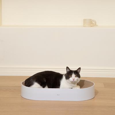 Show full view: Pets So Good All Day Cat Scratcher Toy, Brown slide 4 of 8