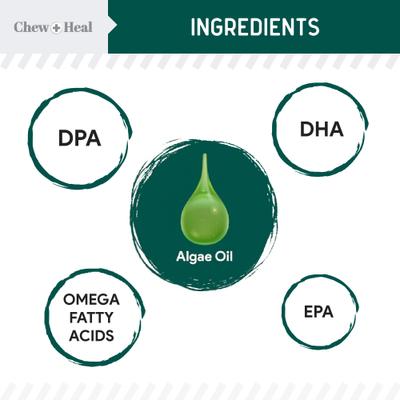 Show full view: Chew + Heal Vegan Single Ingredient EPA & DHA Omega-3 Algae Oil Skin & Coat Supplement for Dogs, 8-fl oz bottle slide 3 of 11