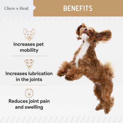 Show full view: Chew + Heal Glucosamine Hip + Joint Peanut Butter Flavored Soft Chew Joint Supplement for Dogs, 90 count slide 8 of 10
