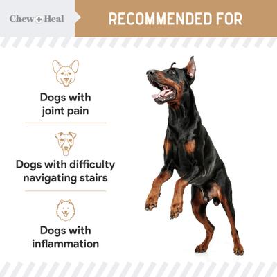 Show full view: Chew + Heal Glucosamine Hip + Joint Peanut Butter Flavored Soft Chew Joint Supplement for Dogs, 90 count slide 5 of 10