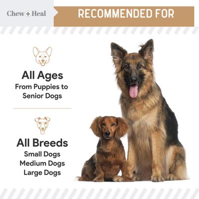 Show full view: Chew + Heal Glucosamine Hip + Joint Peanut Butter Flavored Soft Chew Joint Supplement for Dogs, 90 count slide 4 of 10