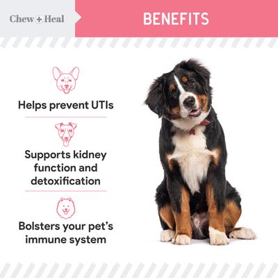 Show full view: Chew + Heal Urinary + Kidney Tincture Supplement for Dogs, 2-fl oz bottle slide 6 of 10
