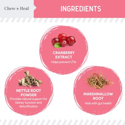 Show full view: Chew + Heal Urinary + Kidney Tincture Supplement for Dogs, 2-fl oz bottle slide 3 of 10