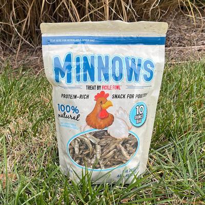 Show full view: Flock Fest Whole-Dried Minnows Poultry Treat, 10-oz bag slide 2 of 6