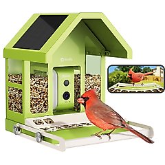 Birdfy Metal Bird Feeder Squirrel Proof with Camera, Green
