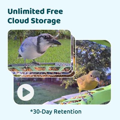 Show full view: Birdfy Smart Bird Feeder 2 with Camera Duo AI Lifetime Free, Green slide 3 of 8