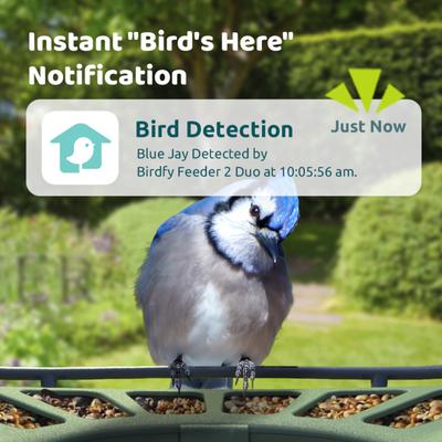 Show full view: Birdfy Smart Bird Feeder 2 with Camera Duo AI Lifetime Free, Green slide 2 of 8