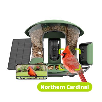 Show full view: Birdfy Smart Bird Feeder 2 with Camera Duo AI Lifetime Free, Green slide 1 of 8
