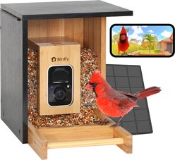 Birdfy Bamboo Smart Bird Feeder with Camera Solar Powered, Black, 1.9L
