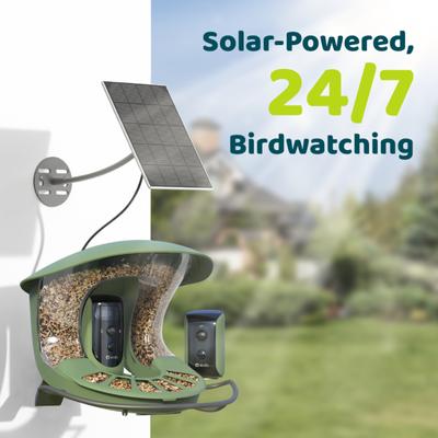 Show full view: Birdfy Smart Bird Feeder 2 with Camera Duo AI Lifetime Free, Green slide 7 of 8
