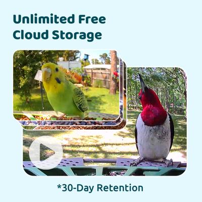 Show full view: Birdfy Feeder 2 Pro Smart Bird Feeder with Camera AI Recognition, Green slide 3 of 8