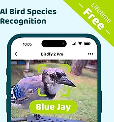 Birdfy Feeder 2 Pro Smart Bird Feeder with Camera AI Recognition, Green slide 2 of 8
