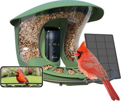 Birdfy Feeder 2 Pro Smart Bird Feeder with Camera AI Recognition, Green