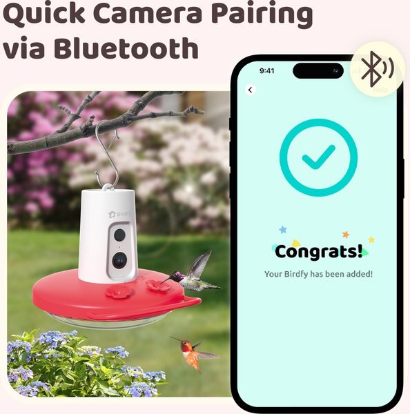 Birdfy Humming Bird Feeder with Camera Motion Detection, Red
