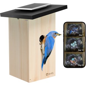 Birdfy Solar Powered Smart Bird House with Camera, Ebony