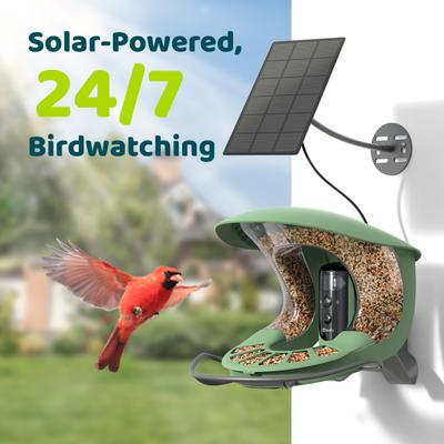 Show full view: Birdfy Feeder 2 Pro AI Smart Bird Feeder with Camera AI Lifetime Free, Green slide 7 of 8