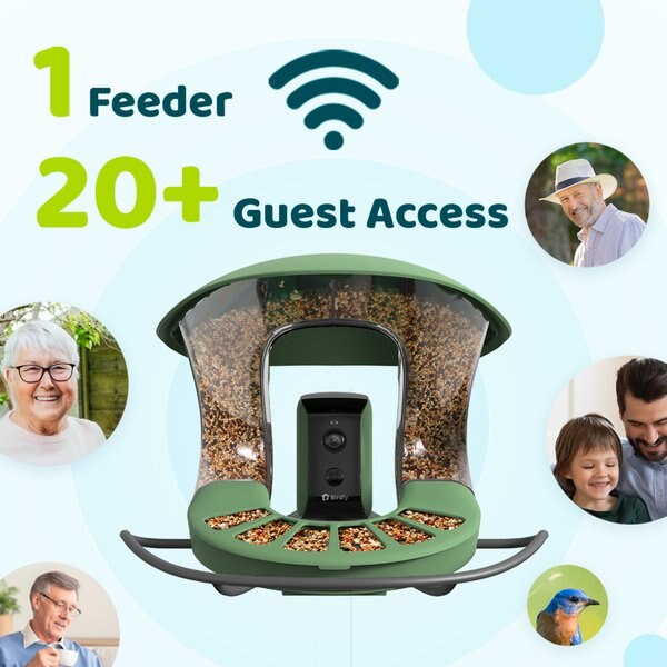 Birdfy Feeder 2 Smart Bird Feeder with Camera AI Recognition, Green