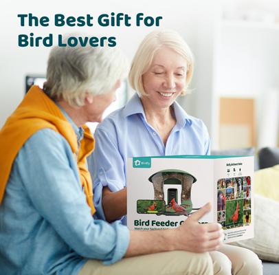 Show full view: Birdfy Feeder 2 Smart Bird Feeder with Camera AI Recognition, Green slide 4 of 8