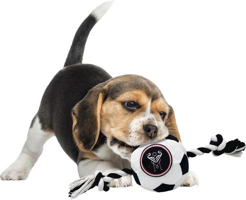 Show full view: Pets First Inter Miami CF Soccer Ball Squeaky Rope Dog Toy slide 2 of 5