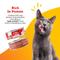 Show in main carousel: Beefeaters Chicken Whitefish Pate Wet Cat Food, 5.5-oz can, case of 24 slide 4 of 8