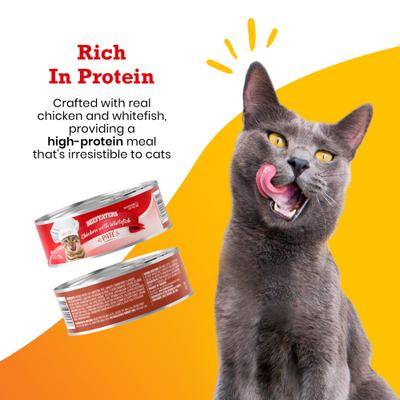 Show full view: Beefeaters Chicken Whitefish Pate Wet Cat Food, 5.5-oz can, case of 24 slide 4 of 8