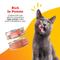 Show in main carousel: Beefeaters Salmon Pate Wet Cat Food, 3-oz can, case of 24 slide 4 of 8
