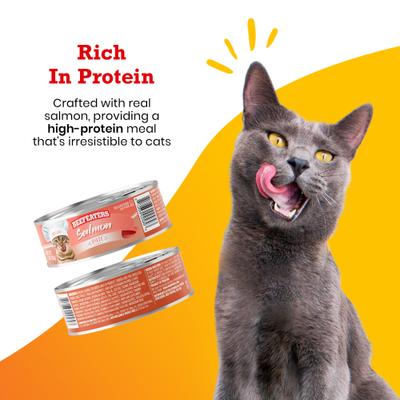 Show full view: Beefeaters Salmon Pate Wet Cat Food, 3-oz can, case of 24 slide 4 of 8