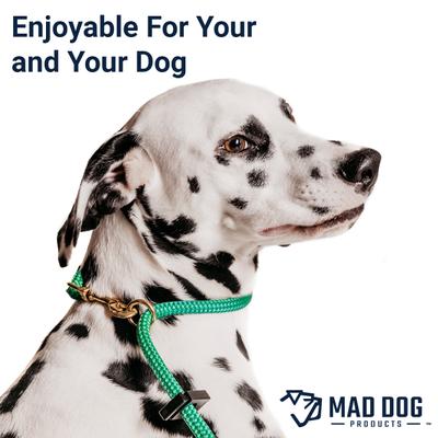 Show full view: Mad Dog Products Dual Purpose Slip/Clip Dog Leash, Red/White/Blue, 6-ft long, 3/8-in wide slide 4 of 8