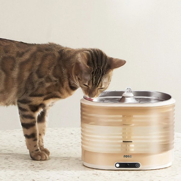 Show full view: ENABOT ROLA Cordless Smart Pet Water Fountain, Transparent Yellow slide 7 of 10