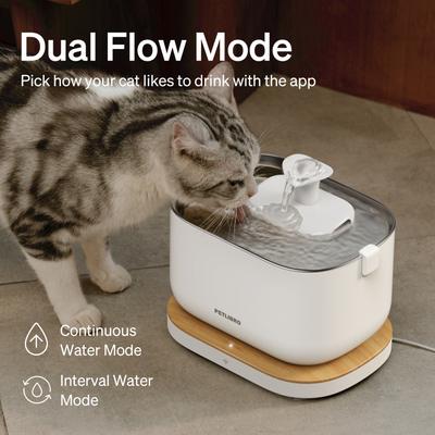 Show full view: Petlibro Granary Smart Camera Wi-Fi Automatic Dog & Cat Feeder, 5-l slide 8 of 9