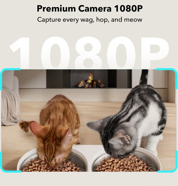 Show full view: Petlibro Granary WIFI Automatic Two Cat & Dog Feeder with Camera & 3 Pet Food Desiccant Bags, White, 5L slide 2 of 11