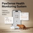 Show in main carousel: Petlibro Granary Smart Camera Wi-Fi Automatic Dual Bowl Dog & Cat Feeder with Dual Bowls, 5-l slide 6 of 9