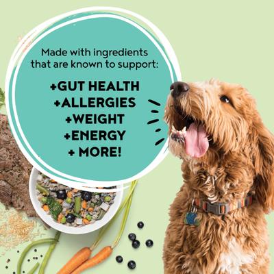 Show full view: Happy Howl Lamb Delight 100% Human-Grade Wet Dog Food, 14.6-oz box, pack of 3 slide 7 of 9