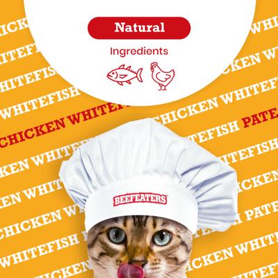 Show full view: Beefeaters Chicken Whitefish Pate Wet Cat Food, 5.5-oz can, case of 24 slide 5 of 8