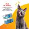 Show in main carousel: Beefeaters Tuna Chunk Gravy Wet Cat Food, 3-oz can, case of 24 slide 4 of 8
