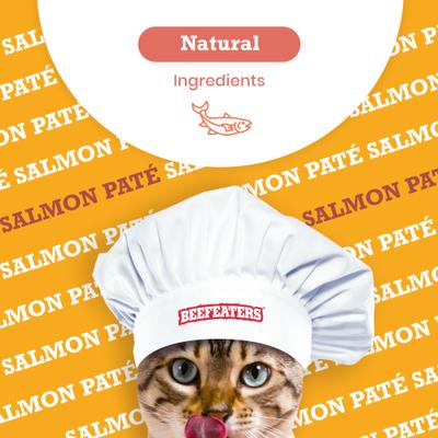 Show full view: Beefeaters Salmon Pate Wet Cat Food, 3-oz can, case of 24 slide 5 of 8