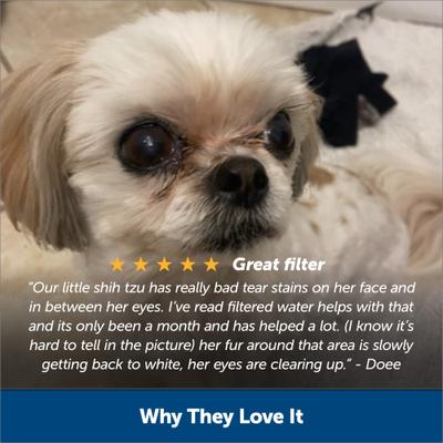 Show full view: PetSafe Healthy Pet Water Filter, 2 pack slide 5 of 8