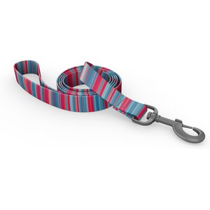 Wingo Outdoors Bowie Dog Leash, Baja Bars, 6-ft long, 1-inch wide