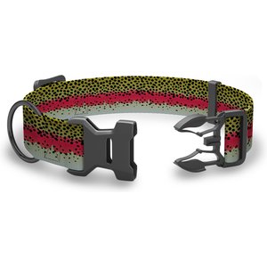 Wingo Outdoors Coosa Dog Collar, Rainbow Trout, Medium: 14 to 22-in neck, 1-in wide