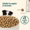 Show in main carousel: Nutrish Whole Health Blend Puppy Real Chicken & Brown Rice Recipe Dry Dog Food, 14-lb bag slide 6 of 13