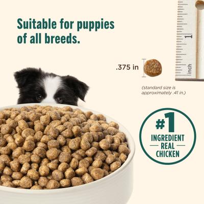 Show full view: Nutrish Whole Health Blend Puppy Real Chicken & Brown Rice Recipe Dry Dog Food, 14-lb bag slide 6 of 13