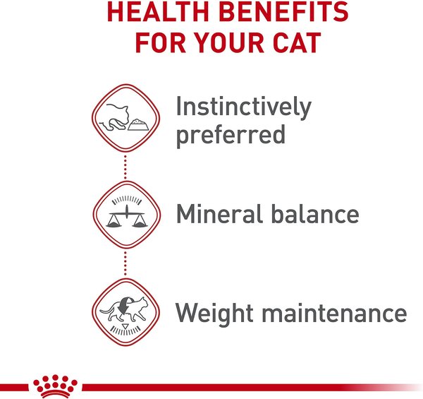 Royal Canin Feline Health Nutrition Adult Instinctive Loaf in Sauce Wet Cat Food
